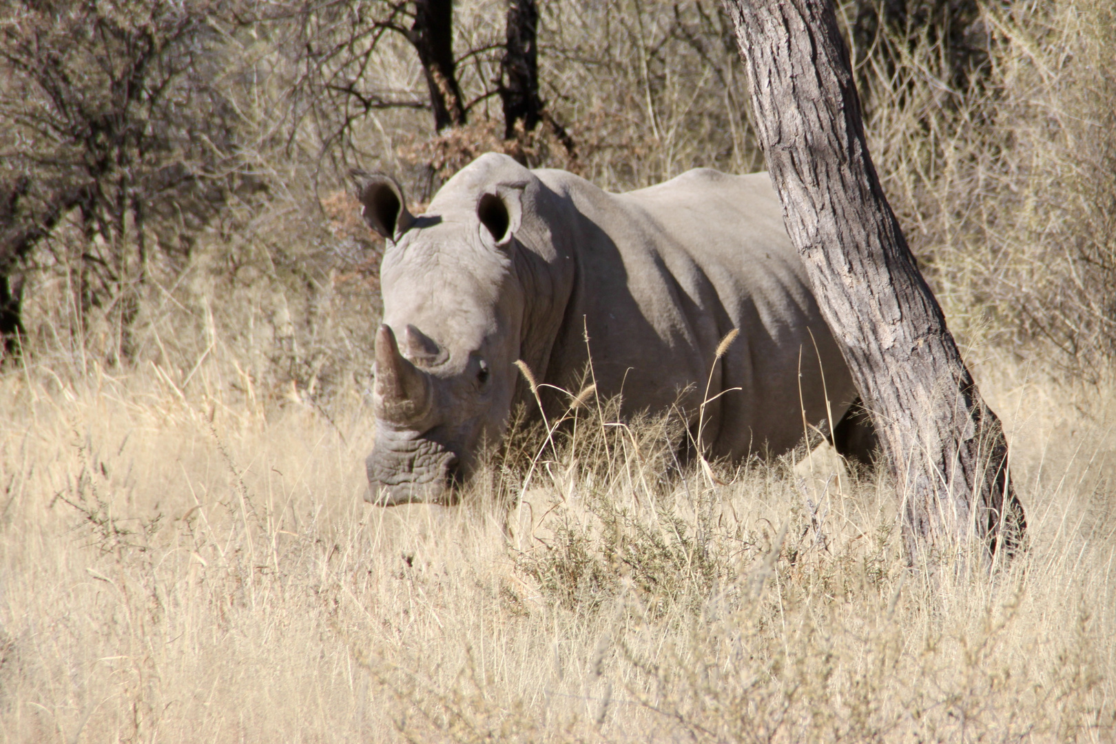 Namibia