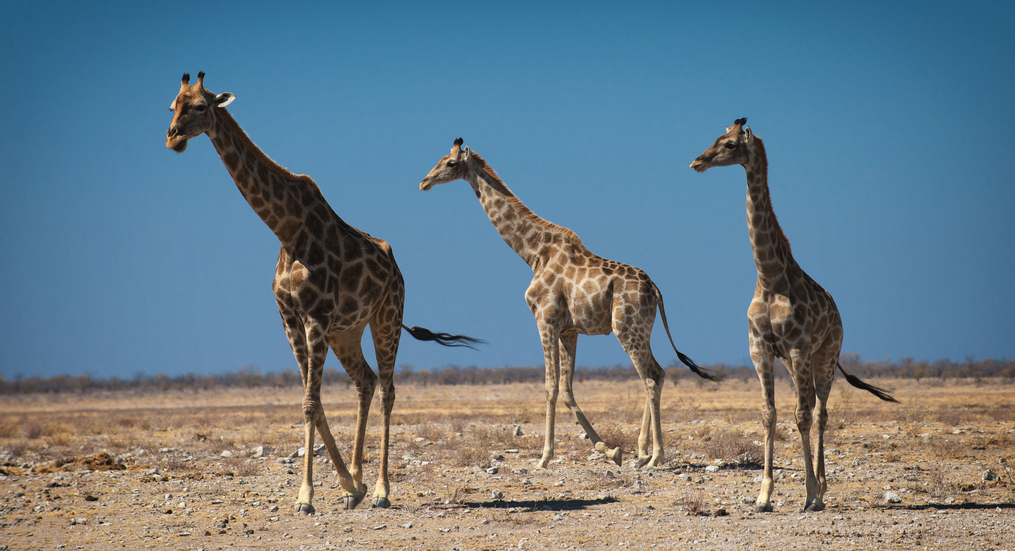 Namibia