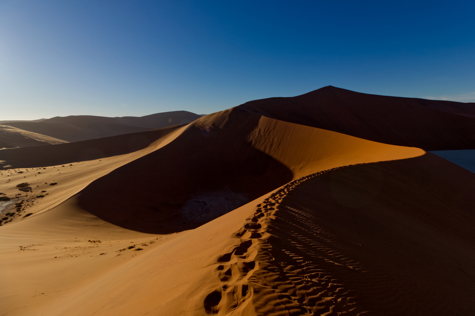 Namibia - Big Daddy 