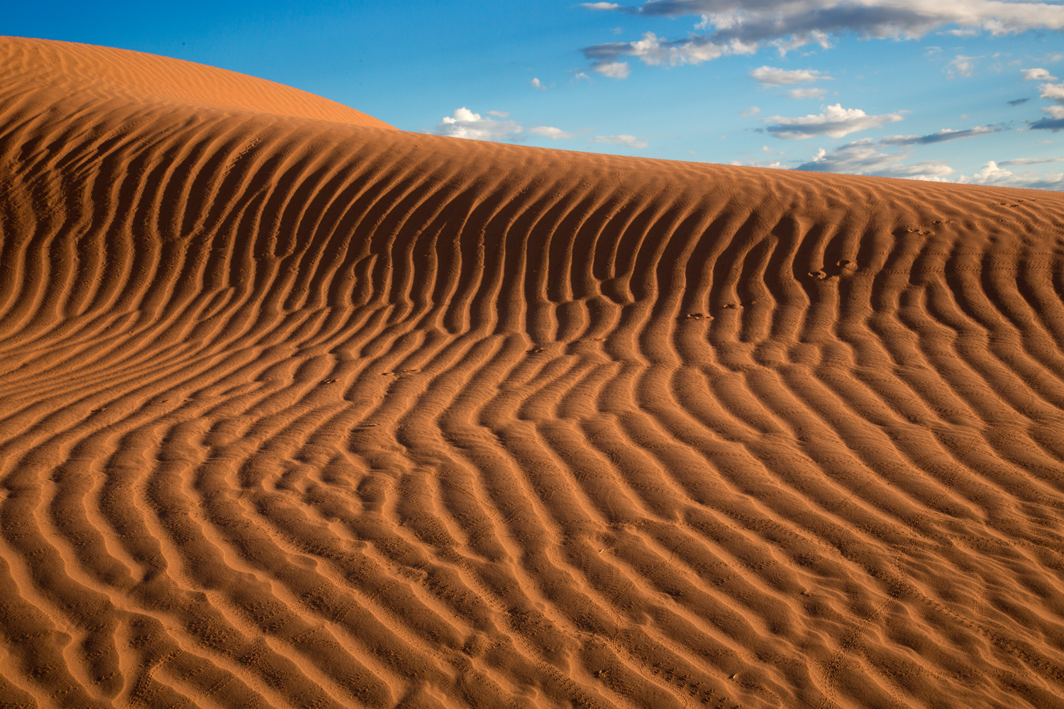 Namibia - Blick zum Himmel 