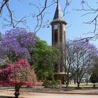 Namibia - Blütenpracht vor der Kirche von Otjiwarongo