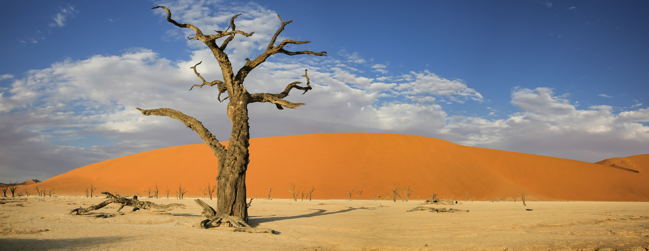 Namibia, Botswana 2017-132