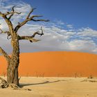 Namibia, Botswana 2017-132