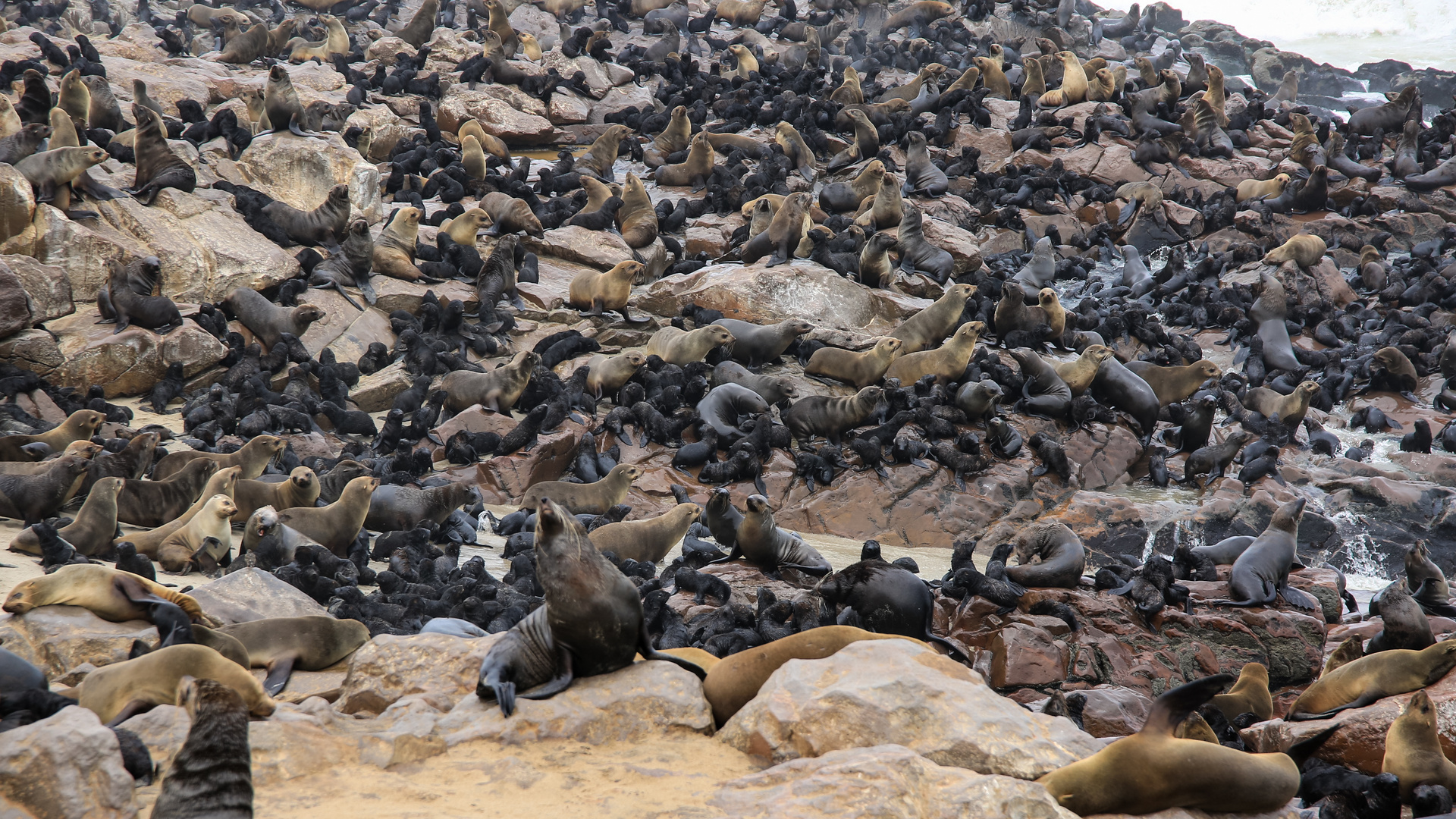 Namibia, Botswana 2017-370