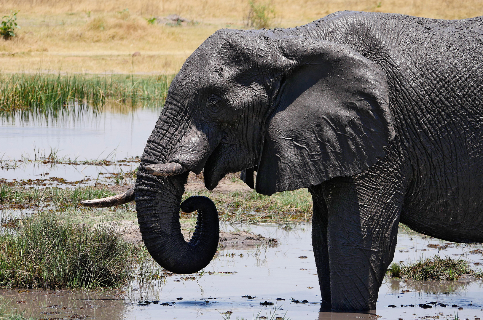 Namibia, Bwabwata NP