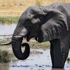 Namibia, Bwabwata NP