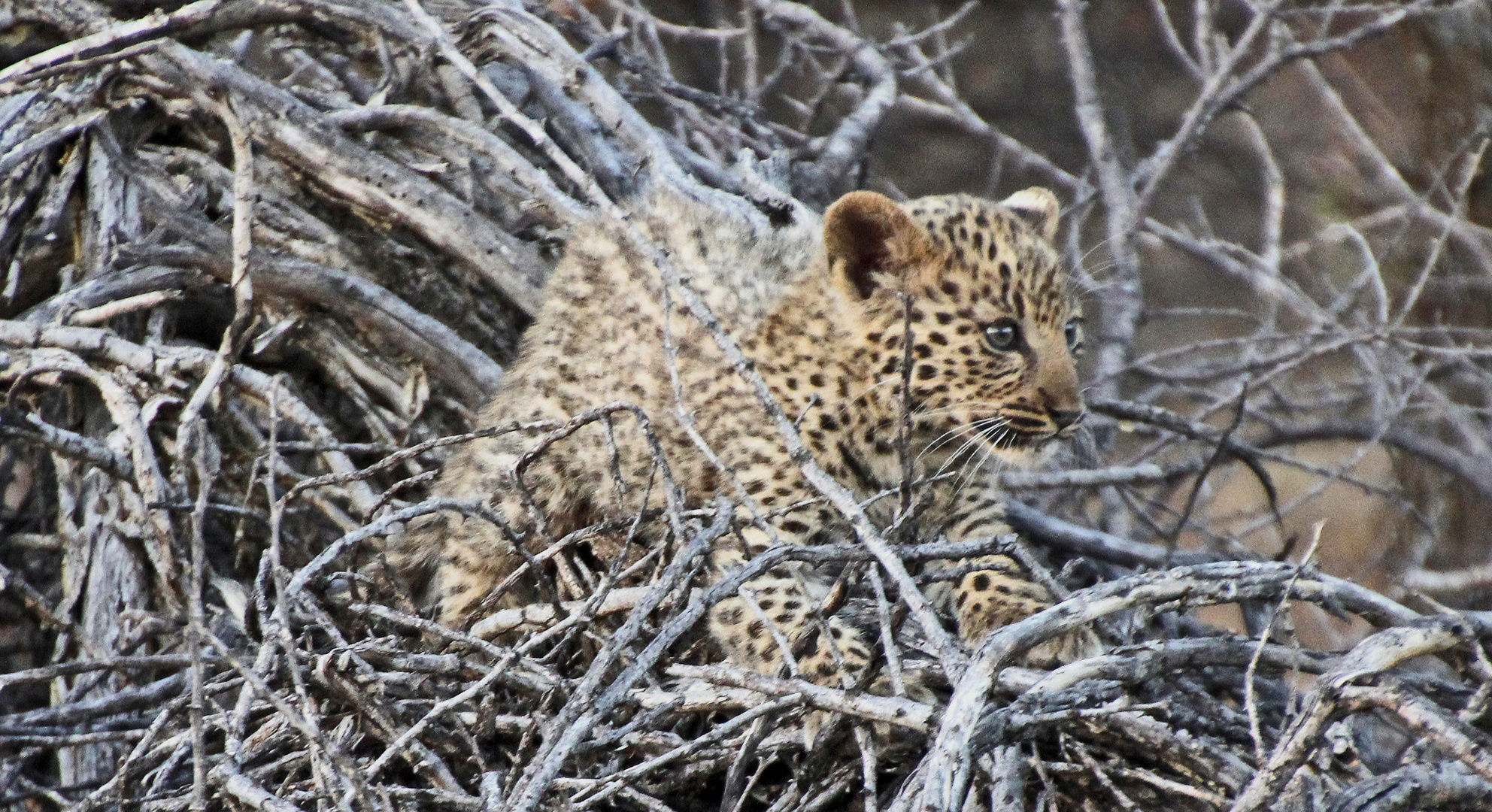 Namibia