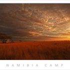 NAMIBIA CAMP