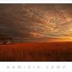 NAMIBIA CAMP