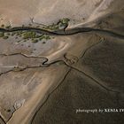 Namibia - Coastal Habitats