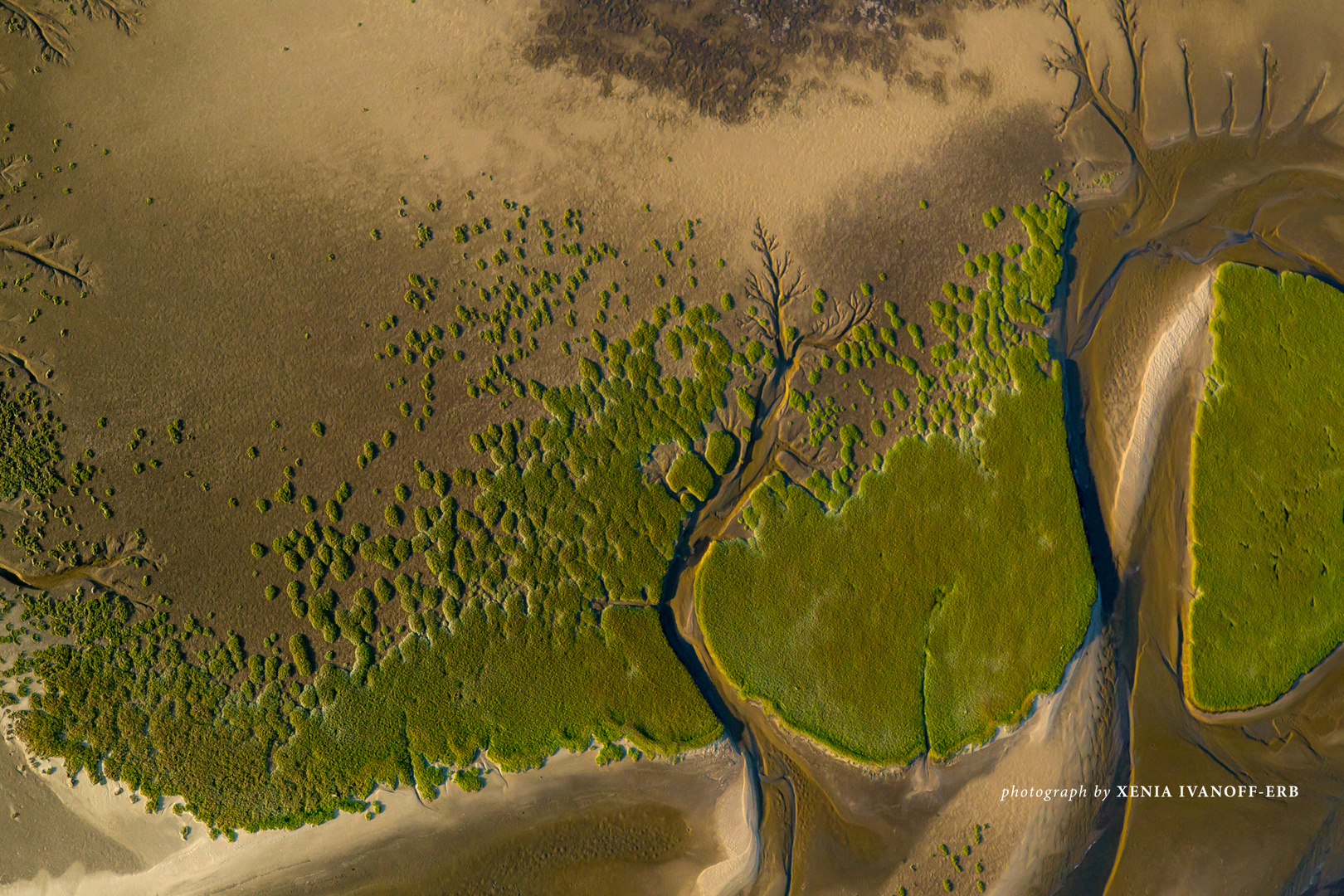 Namibia - Coastal Habitats