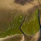 Namibia - Coastal Habitats