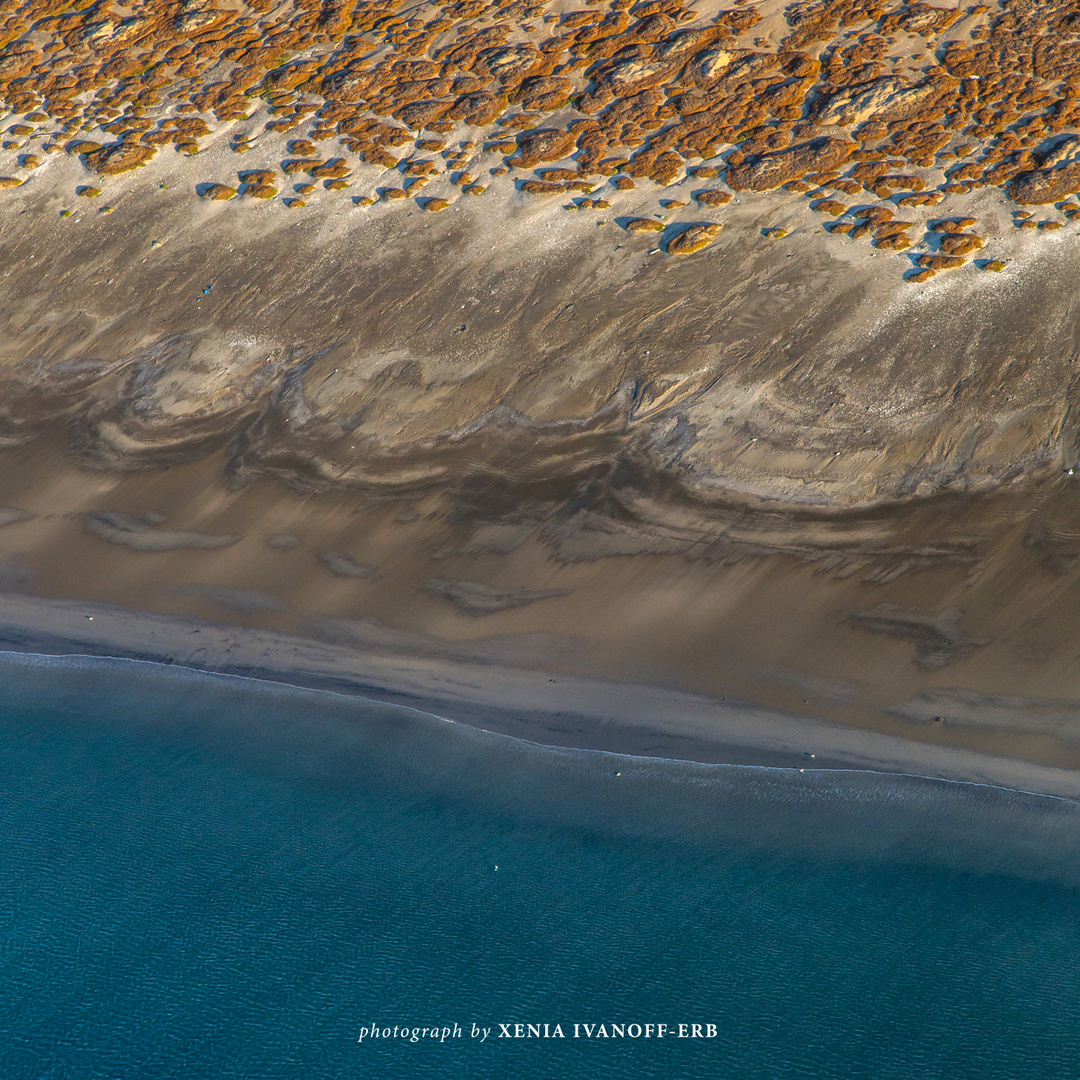 Namibia - Coastal Habitats