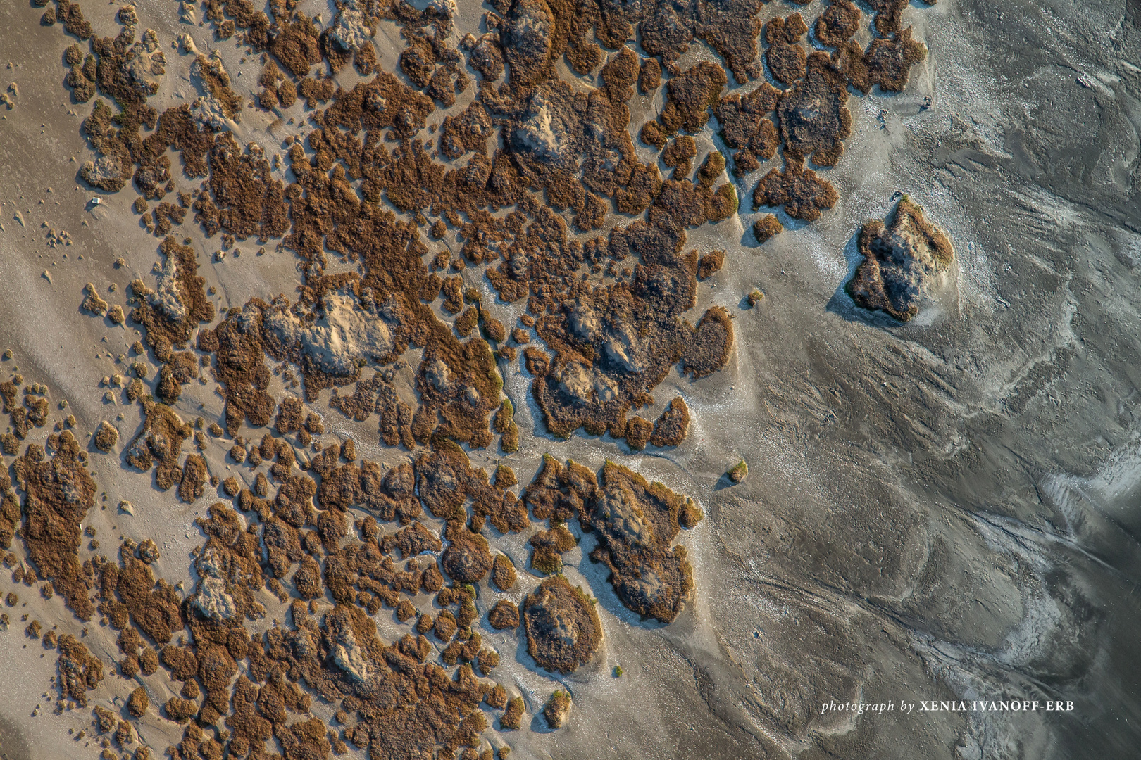 Namibia - Coastal Habitats