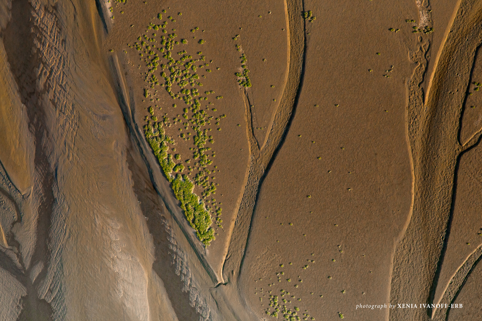 Namibia - Coastal Habitats