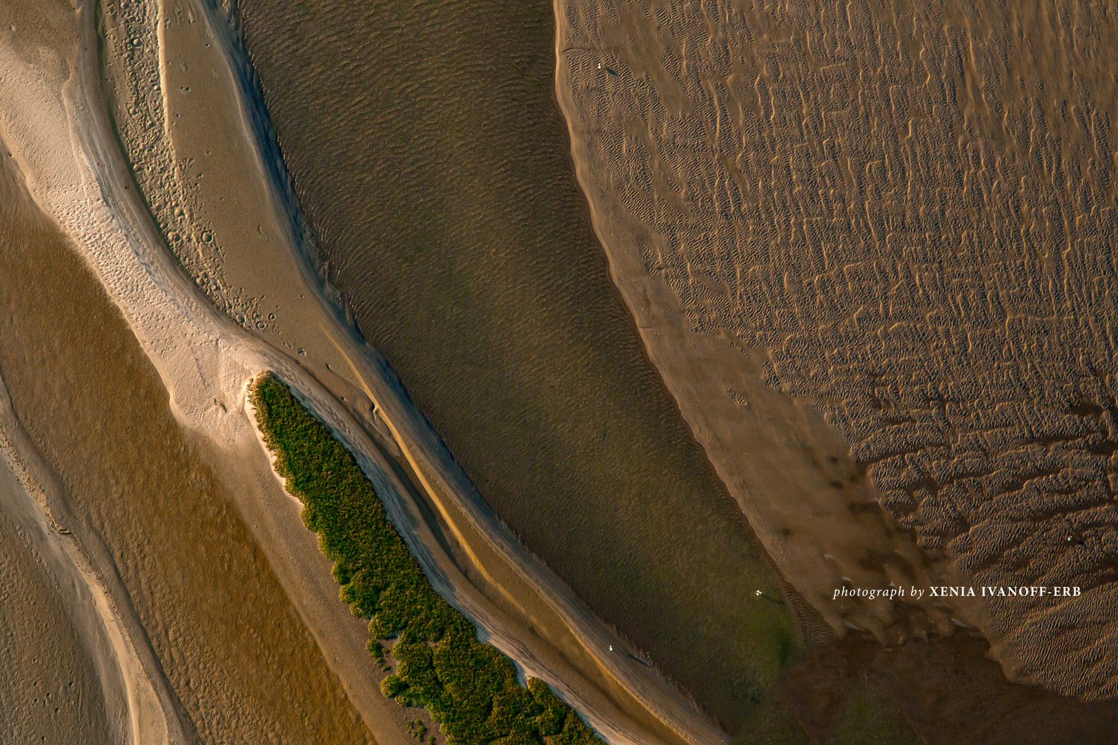 Namibia - Coastal Habitats