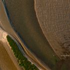 Namibia - Coastal Habitats