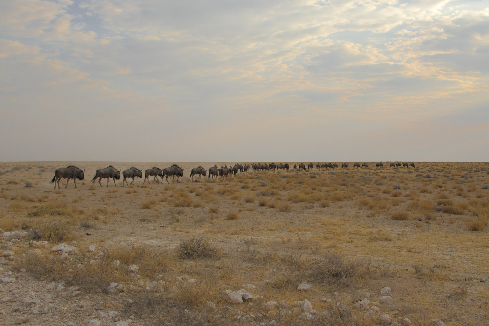 Namibia