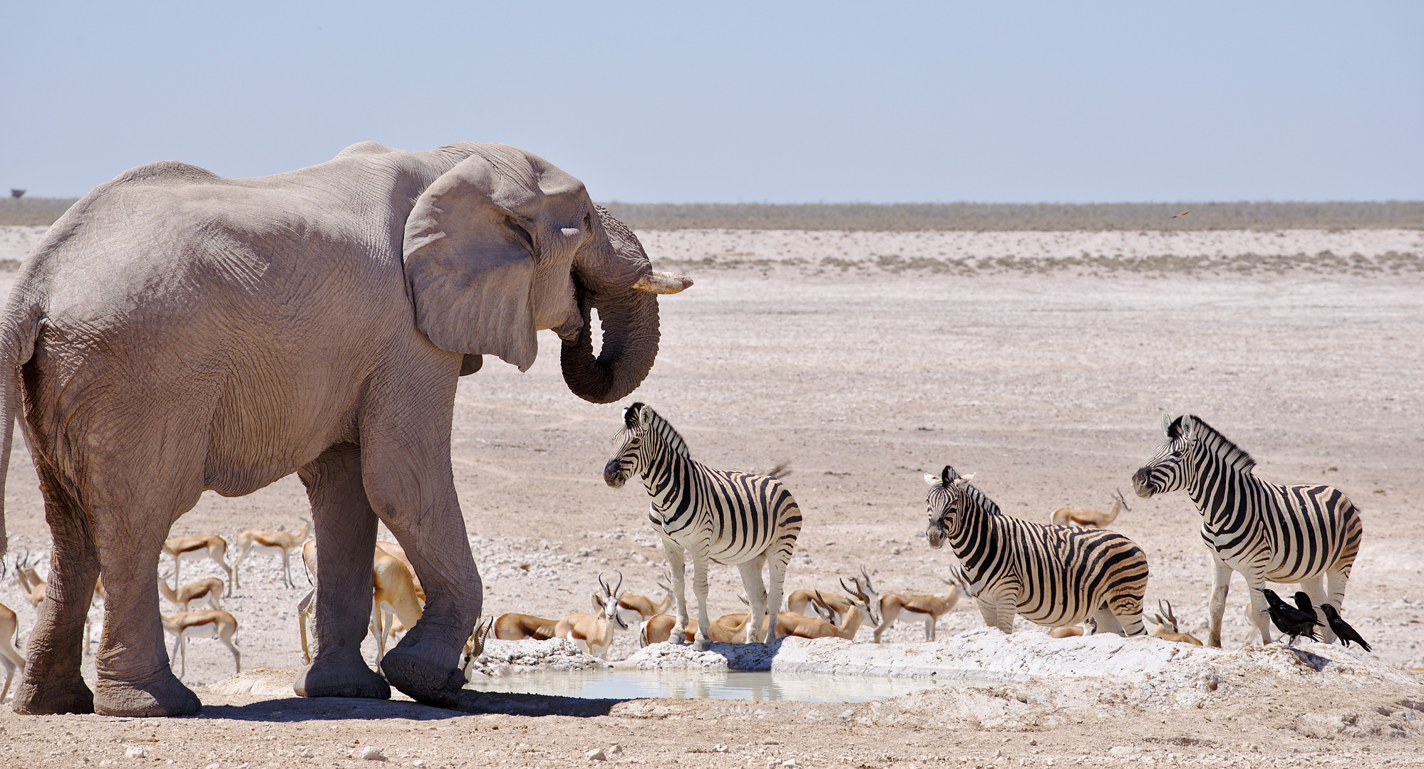 Namibia