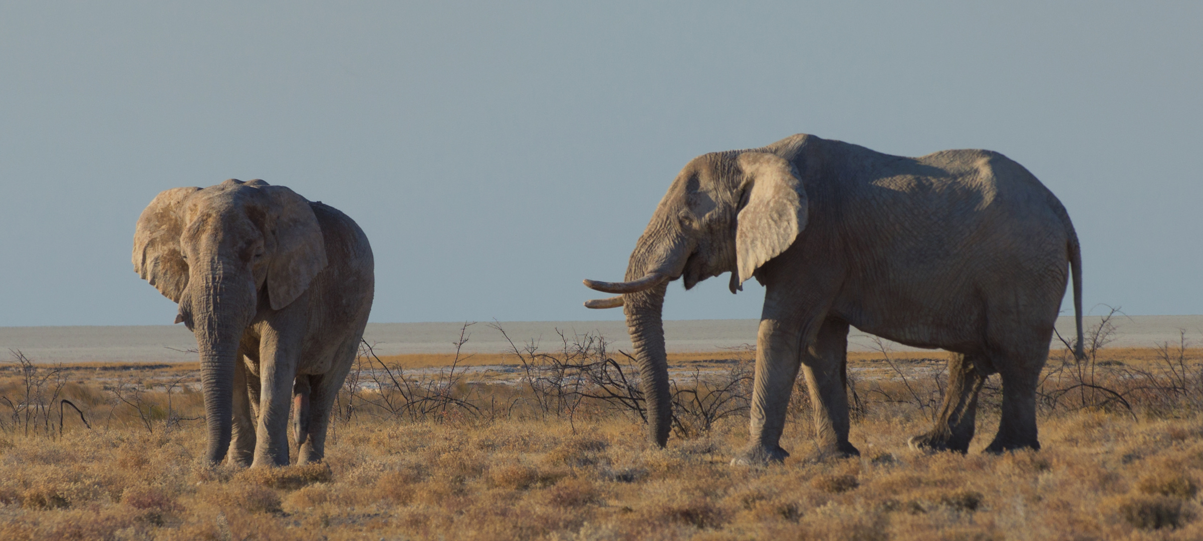 Namibia