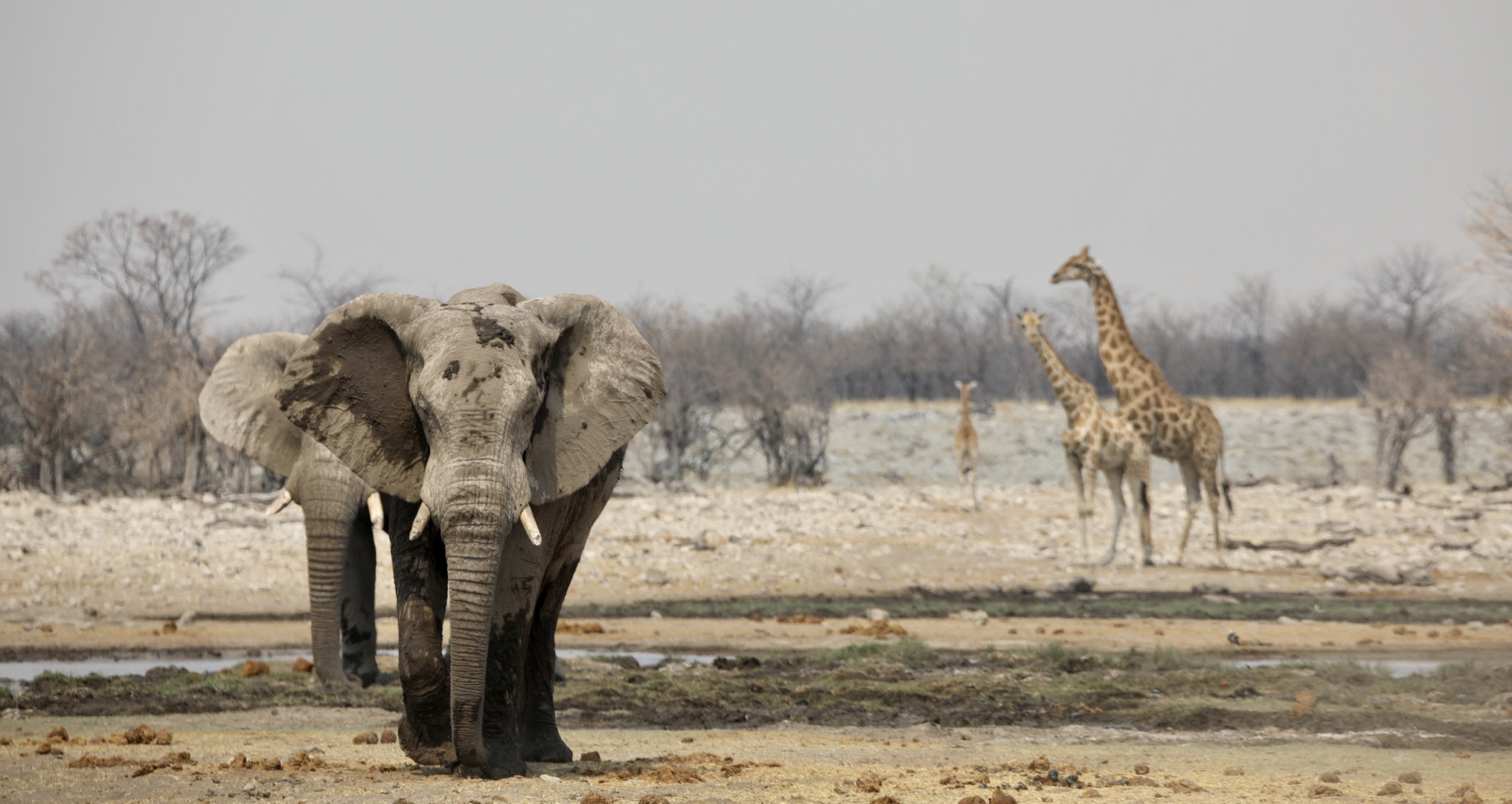 Namibia