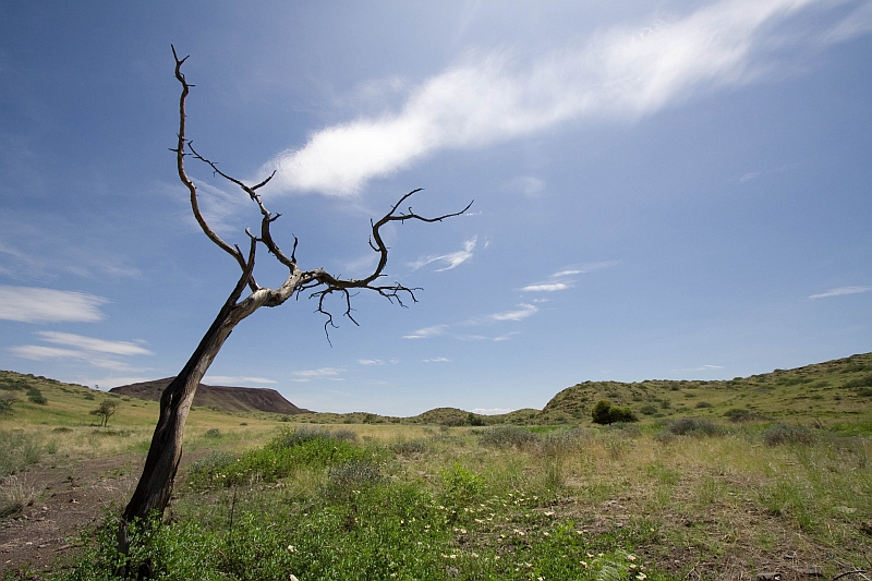 Namibia - Damaraland