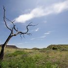 Namibia - Damaraland