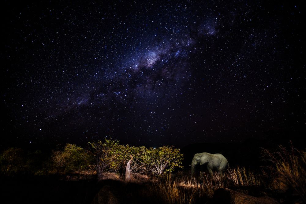 Namibia - Damaraland - Natur pur