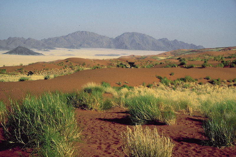 Namibia: Das Paradies liegt in Wolwedans