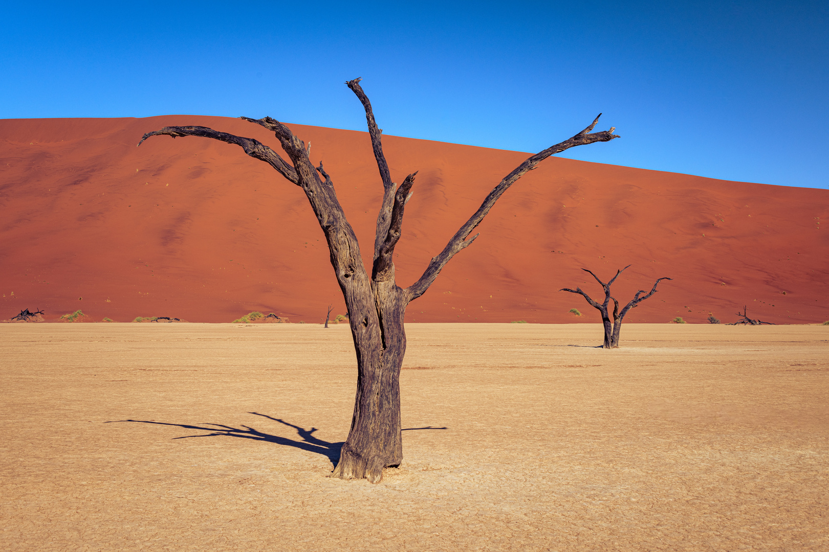 Namibia - dead vlei 2