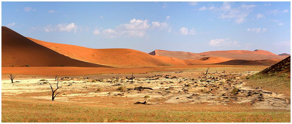 Namibia dead vlei