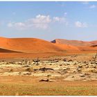 Namibia dead vlei