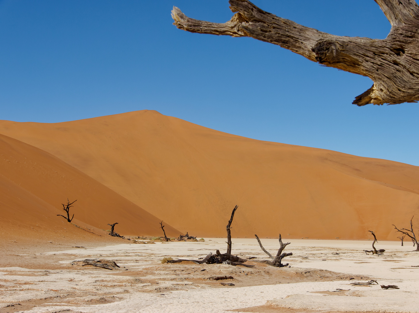 Namibia, Dead Vlei