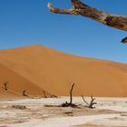 Namibia, Dead Vlei