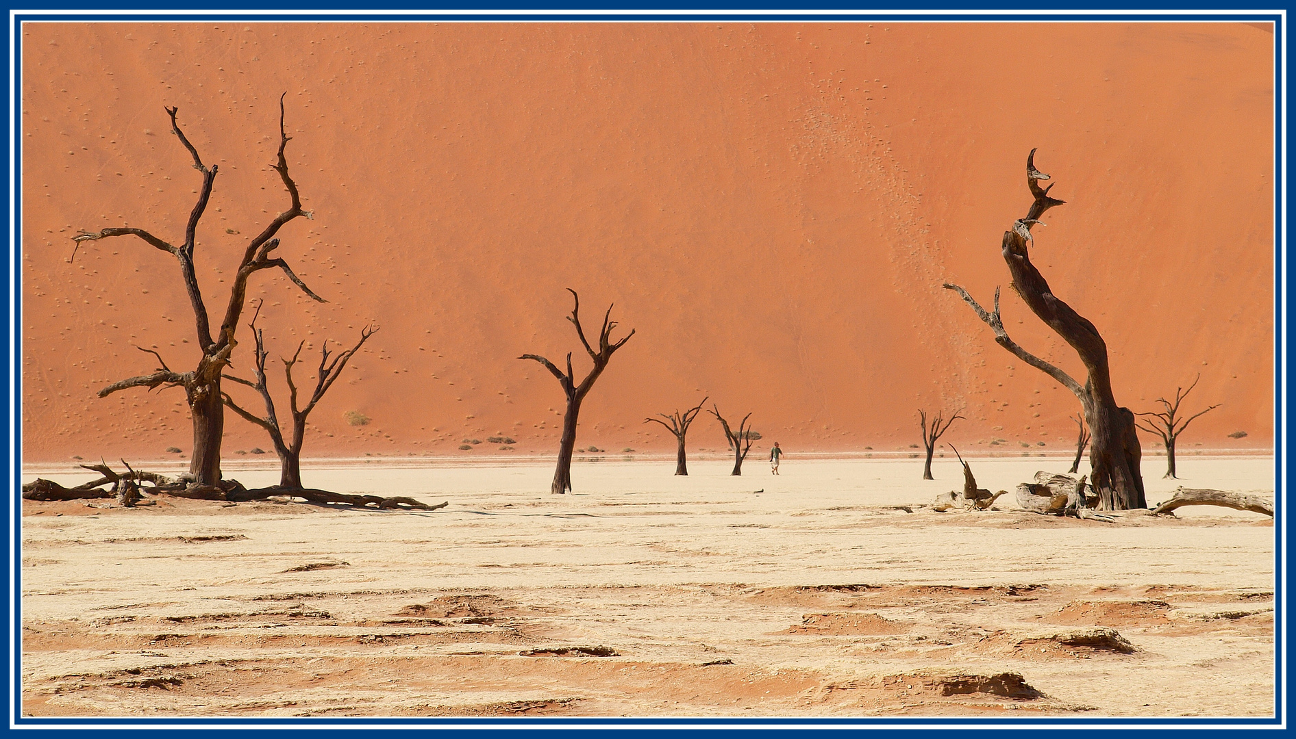 Namibia - Dead Vlei 