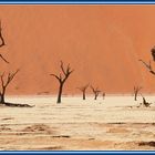 Namibia - Dead Vlei 