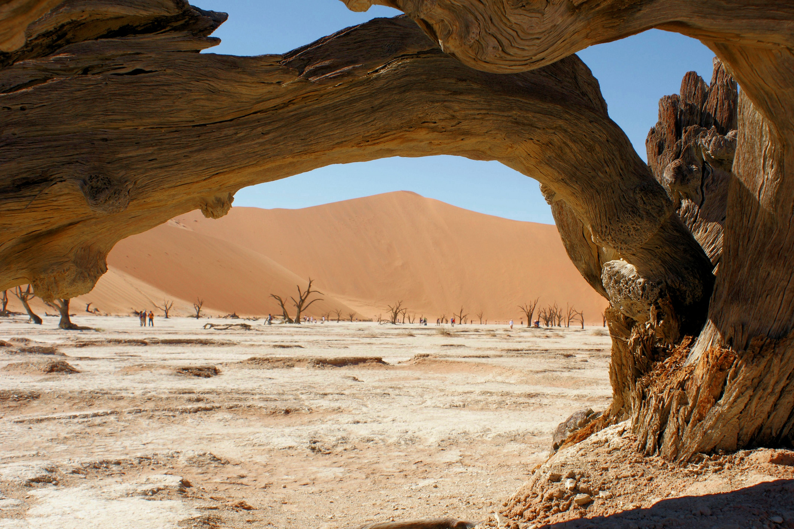 Namibia Dead Vlei