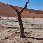 Namibia Deadvlei