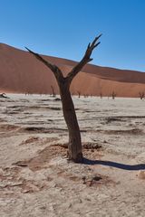 Namibia Deadvlei