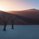 Namibia - Deadvlei