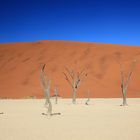 Namibia - Deadvlei