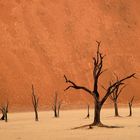 Namibia: Deadvlei