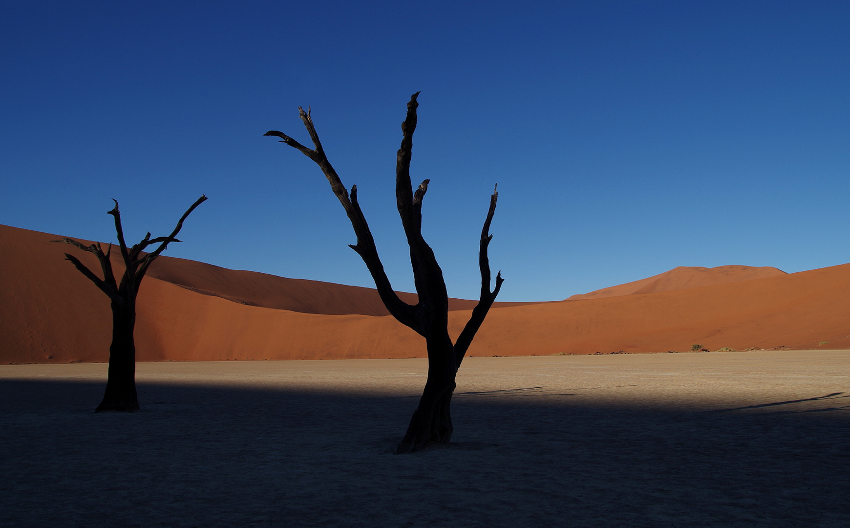 Namibia - Deadvlei - Juni 2018