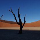 Namibia - Deadvlei - Juni 2018