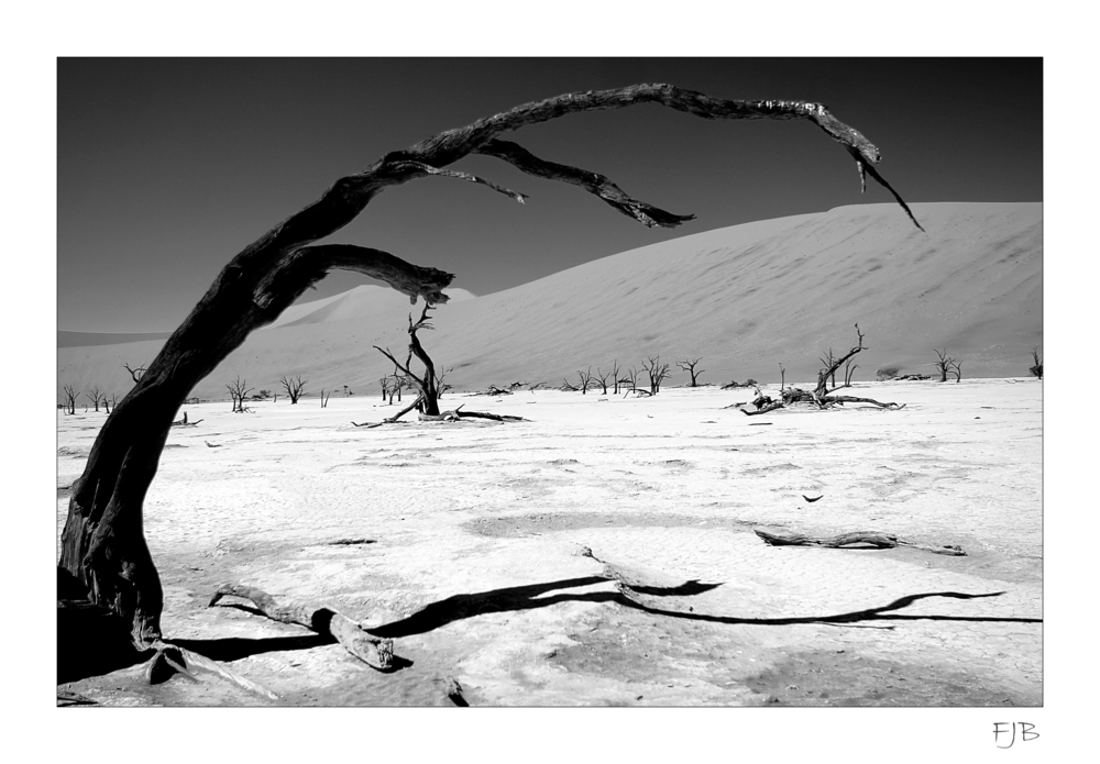 Namibia - Death Vlei