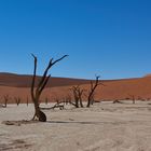 Namibia Deathvlei