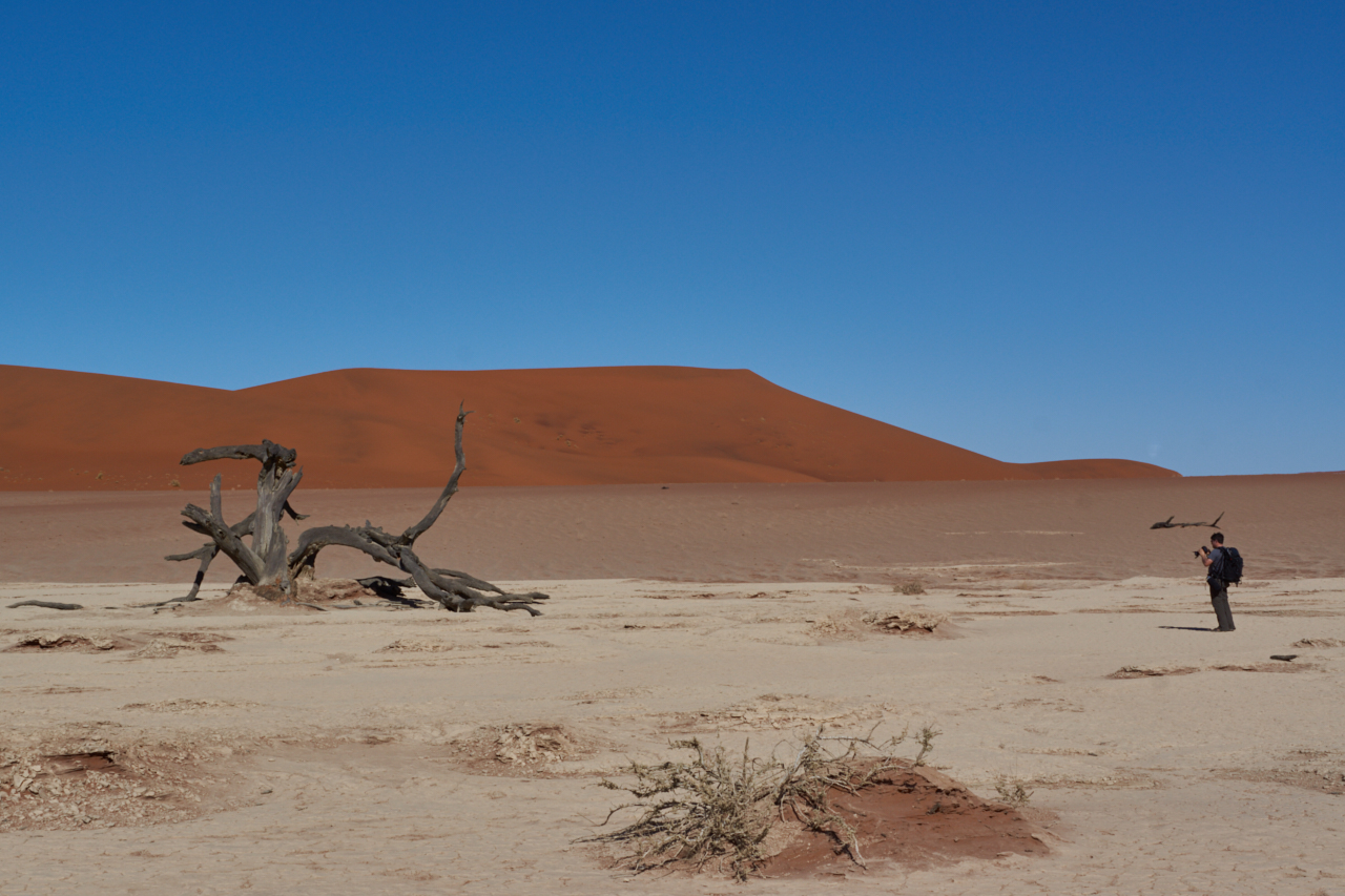 Namibia Deathvlei