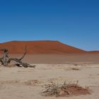 Namibia Deathvlei