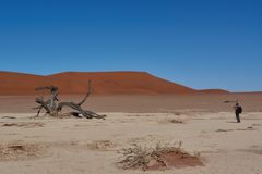 Namibia Deathvlei