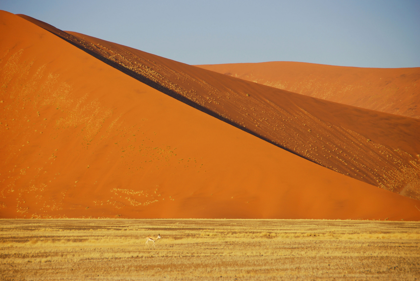 Namibia - Deserto Variazioni di colore